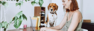 Working from Home and Home Insurance