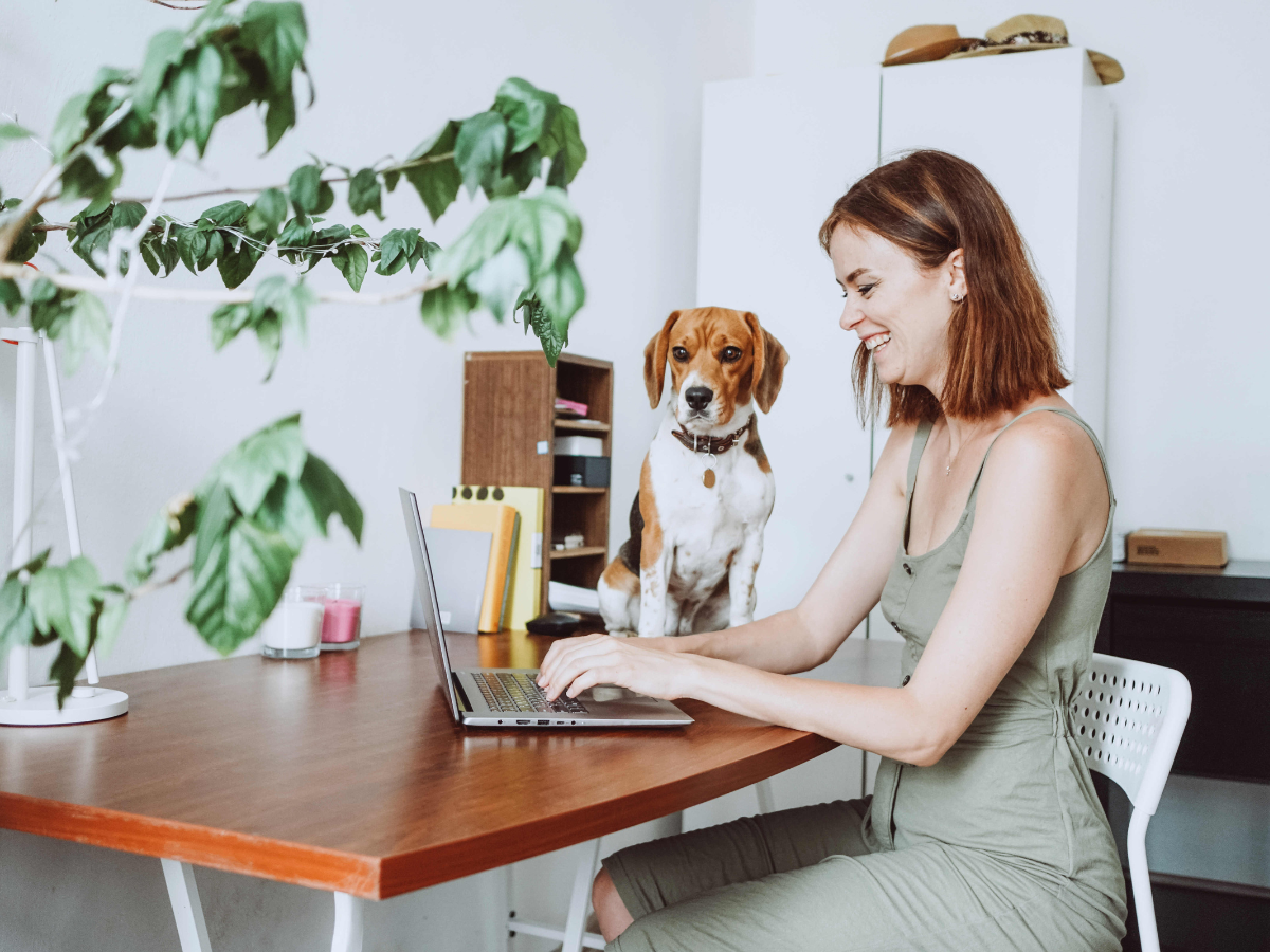 Working from Home and Home Insurance